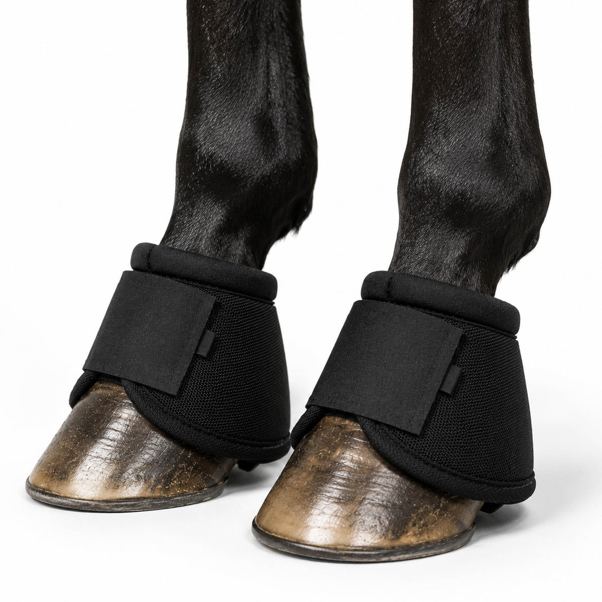 Hoovra Stride Shield bell boots for horse hoof protection