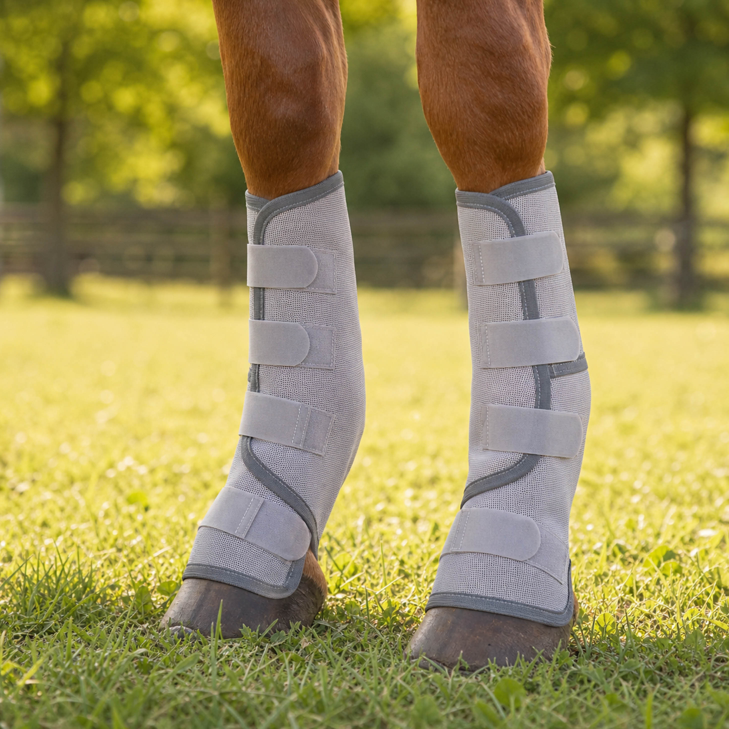 AeroGuard breathable mesh fly boots for horse legs - product image 02