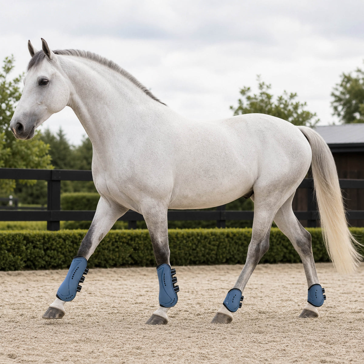 Stride Shield vented tendon and fetlock boot set for horses - product image 05