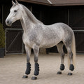 Stride Shield vented tendon and fetlock boot set for horses - product image 02